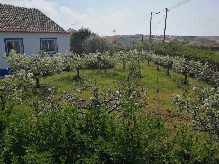Encarnacao Casa Da Ti' Milia 빌라 외부 사진