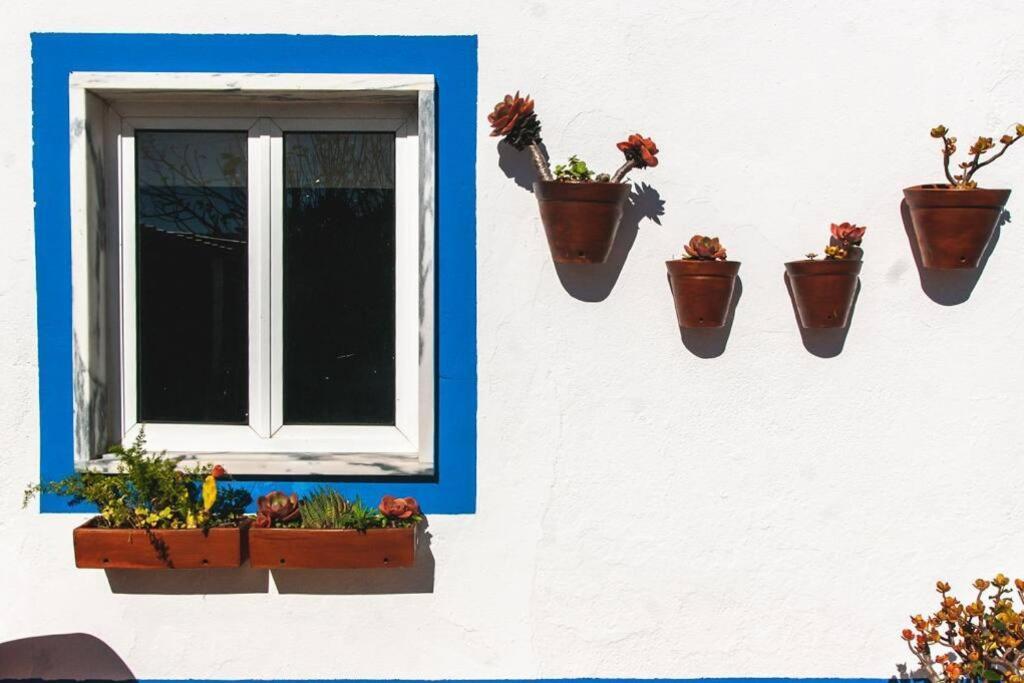 Encarnacao Casa Da Ti' Milia 빌라 외부 사진